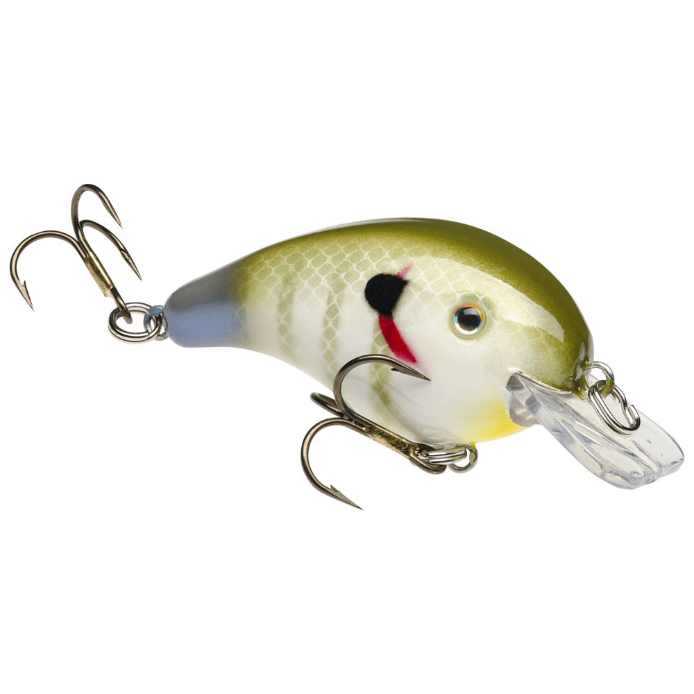 Pro Model Series 1 Crankbait 